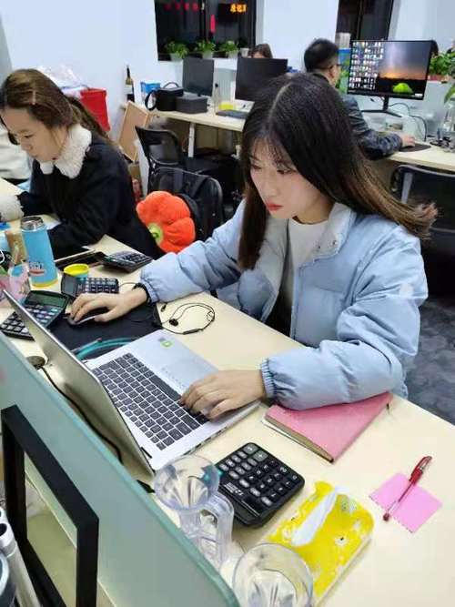 电商数据分析专员_项目专员