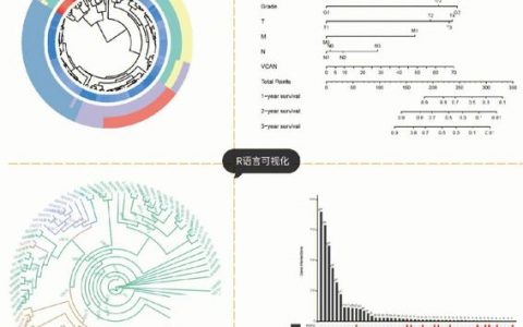 复杂网络 r语言_复杂场景