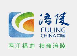 涪陵网站设计_设计中心