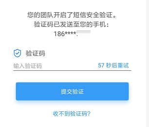 大于短信验证系统_验证业务系统