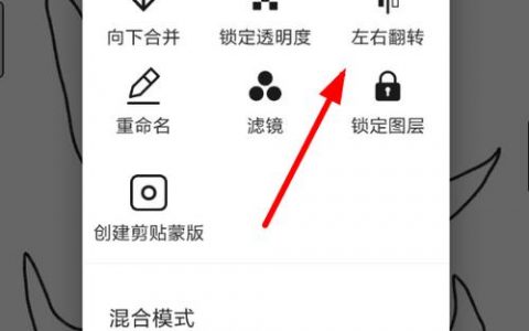 翻转设置_镜像翻转