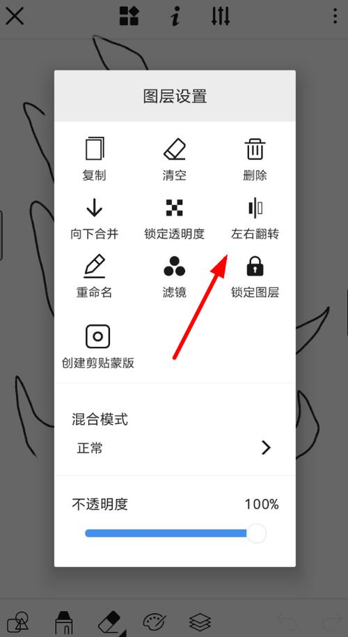翻转设置_镜像翻转