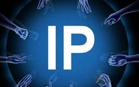 独立ip 香港主机_IPD独立软件类项目
