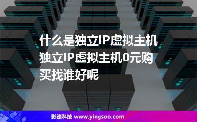 独立ip 香港主机_IPD独立软件类项目