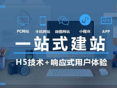 独立ip 香港主机_IPD独立软件类项目