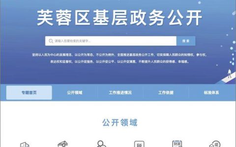 芙蓉区网站建设公司_网站管理