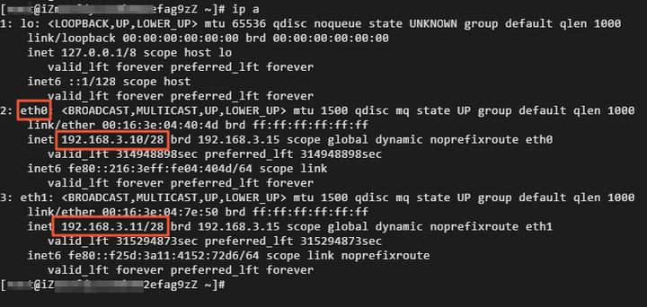 ECS统计IP_ECS.EIP
