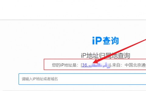 服务器ip_裸金属服务器IP地址查询