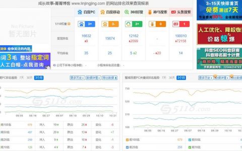 单页网站排名没有_查看容量排名