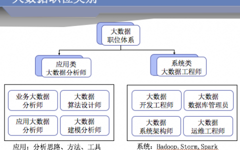 大数据职位描述_价值描述
