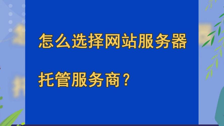 服务器和服务商_服务商