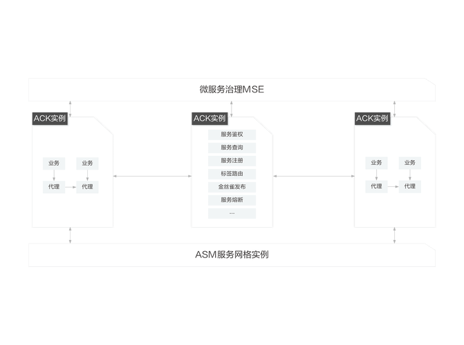 服务网格ASM_应用服务网格 ASM