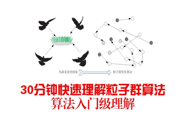 二进制粒子群算法_群组与标签（联通用户专用）