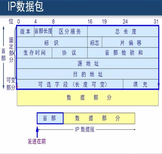 服务器和客户端数据传输格式_区域和格式化