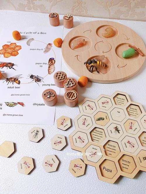 弹性伸缩修改生命周期挂钩_修改生命周期挂钩