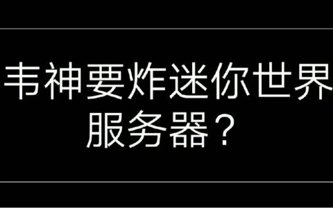 要炸服务器的迷你主播叫什么