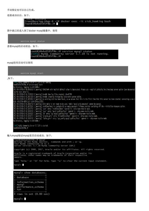 docker 数据库 mysql_Mysql数据库