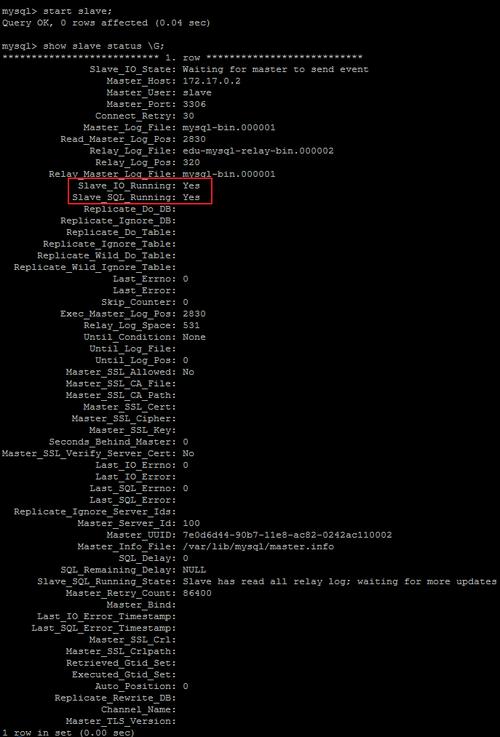 docker 数据库 mysql_Mysql数据库