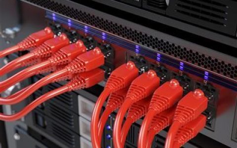服务器固定宽带1mbps什么意思