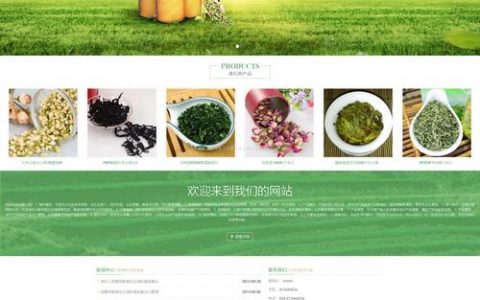 大气绿色网站模板_网站模板设置