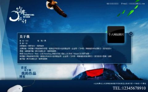 flash个人网站片头_基于WordPress搭建个人网站（Linux）