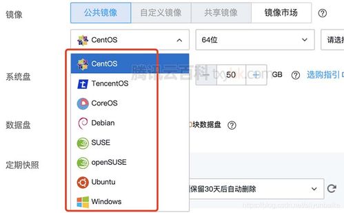 放心弹性云服务器怎么选_镜像怎么选？