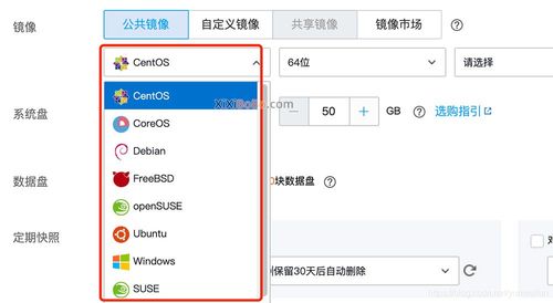 放心弹性云服务器怎么选_镜像怎么选？