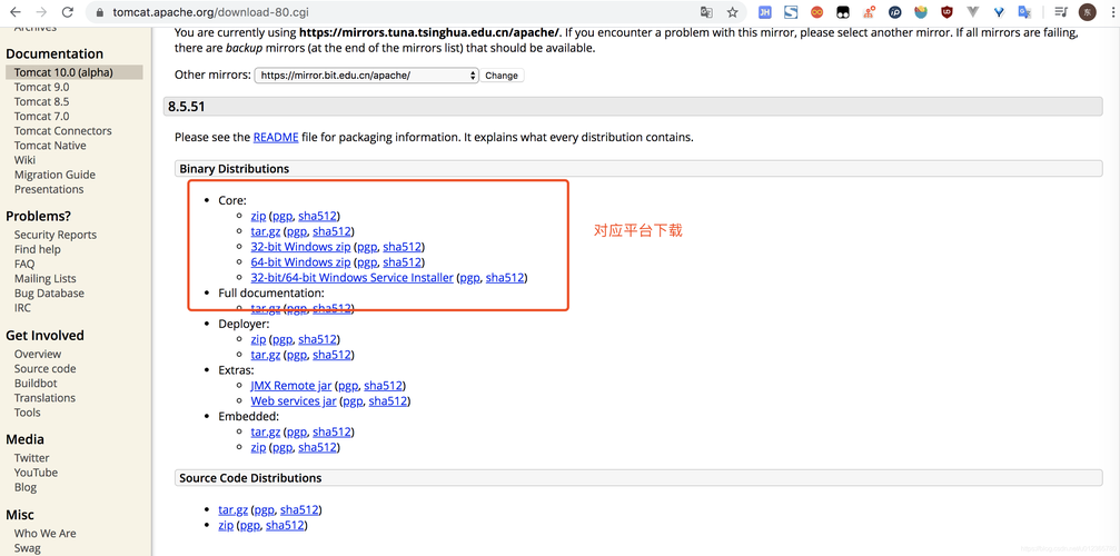 服务器wget安装包_基于Tomcat构建Java web环境（CentOS 7.4）