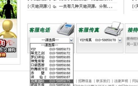 客服问游戏服务器是什么意思