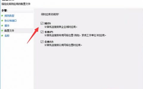 非标端口的dns_独享模式如何防护不支持的非标准端口？