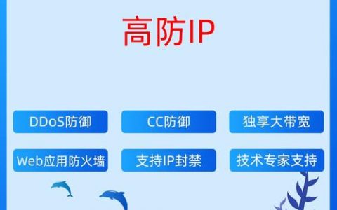 DDoS高防什么是需要保护的网站IP_什么是需要防护的网站IP地址？