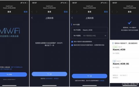 防止网站独立ip被别人绑定_IPD独立软件类项目