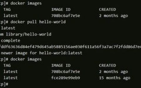 服务器部署网站_镜像部署Drupal网站（Linux）