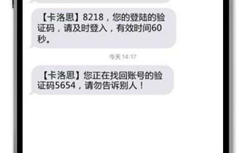 发送验证短信平台_重新发送验证