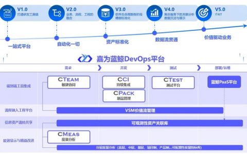 大数据国内外应用现状_DevOps现状报告解读