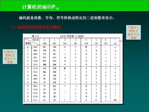 二进制计算机_二进制类型