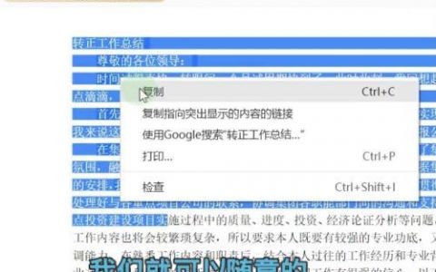 复制单页网站 教程_使用教程