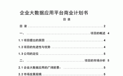 大数据商业服务_商业计划