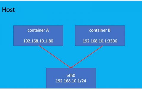 docker 同一宿主机_NPU Snt9B裸金属服务器docker网络配置方案