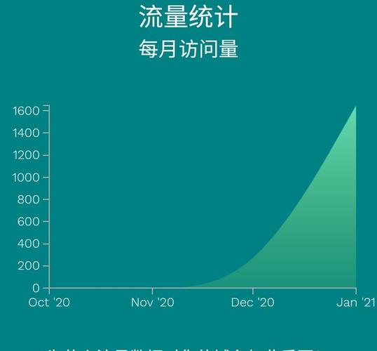 大流量vps_流量