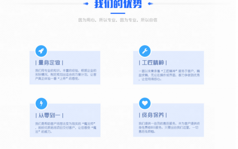 定制网站的优势_DLV的优势