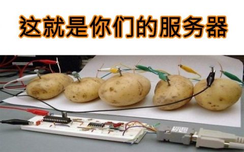 重生服务器为何被称为土豆制品?