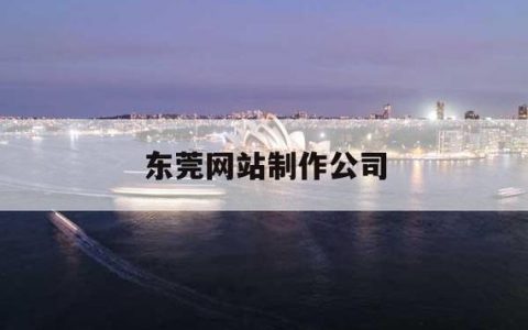 东莞网站制作南城_制作镜像