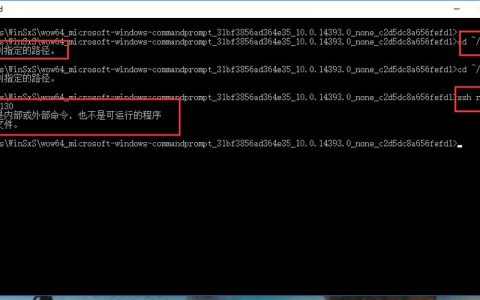 dl服务器_在线服务预测报错DL.0105