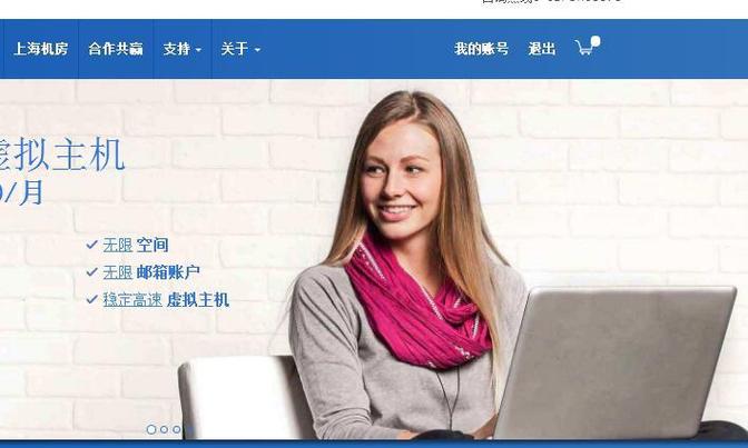 独立ip主机号_IPD独立软件类项目