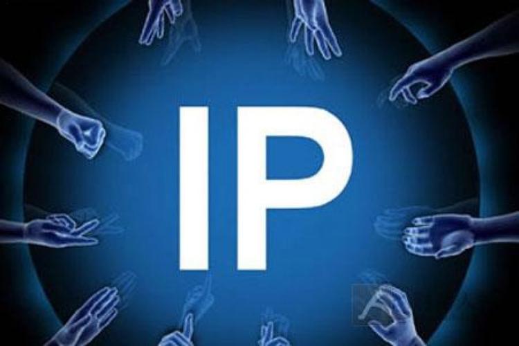 独立ip主机号_IPD独立软件类项目