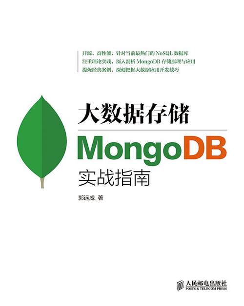 大数据存储mongodb实战指南_数据转发至MongoDB存储