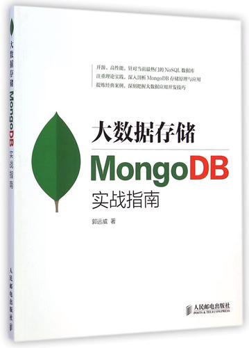 大数据存储mongodb实战指南_数据转发至MongoDB存储