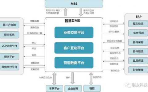DMS系统_DMS输出流