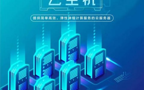 独立ip云主机_IPD独立软件类项目